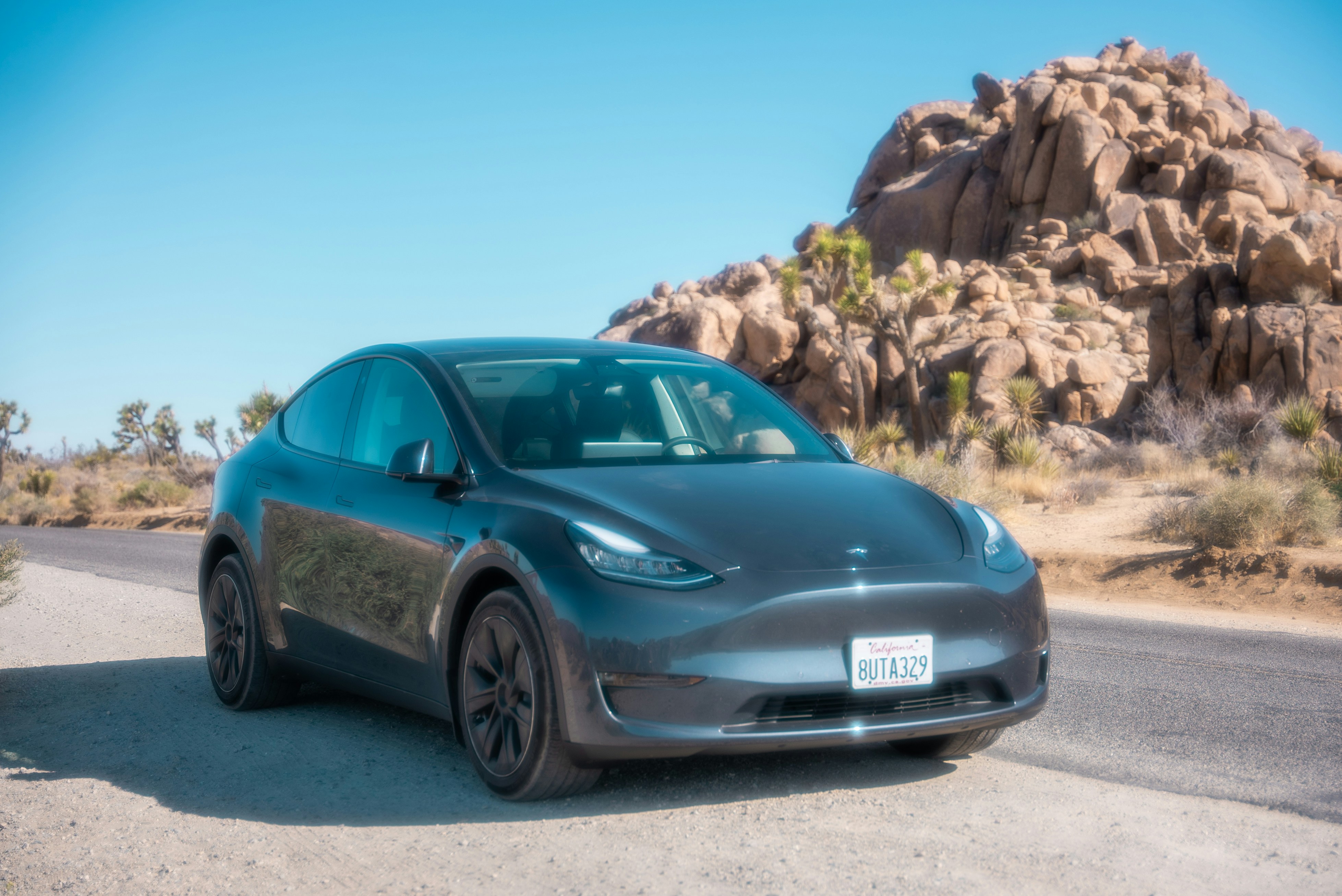 Tesla Model Y - View 1
